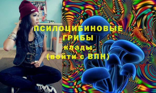 амф Алзамай