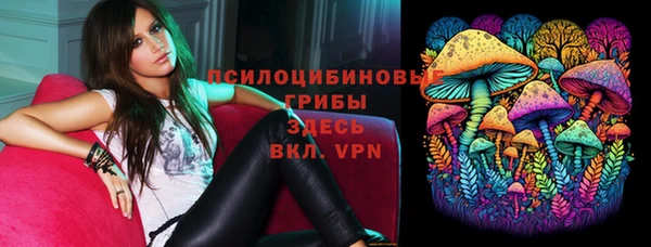 амф Алзамай