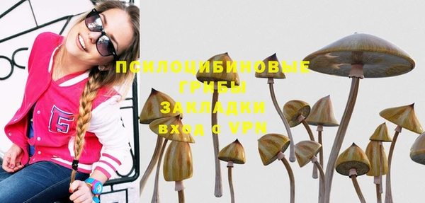 прущий лед Алексеевка