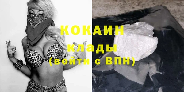 амф Алзамай