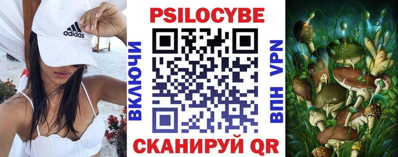 Галлюциногенные грибы MAGIC MUSHROOMS  где продают наркотики  OMG сайт  Дзержинский 